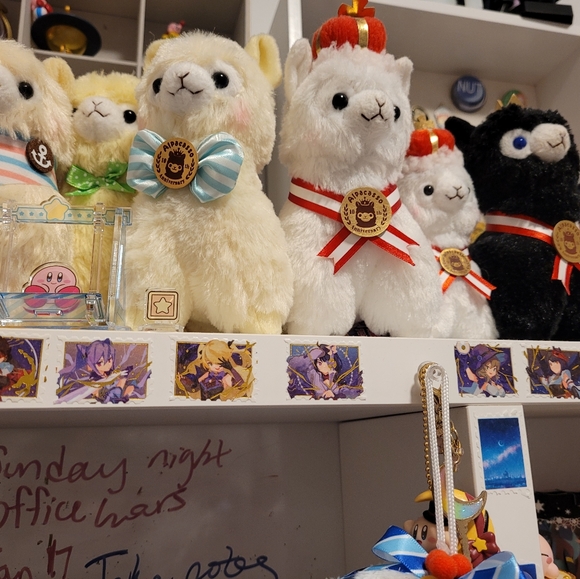 Meet your Posher, Jenessa - Picture 3 of 6